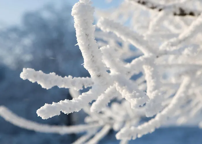 アパート Loipenteufel - Zentral Modern & Am Lift Mit Garage ヴィンターベルク