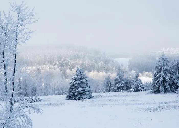 Loipenteufel - Zentral Modern & Am Lift Mit Garage * ヴィンターベルク