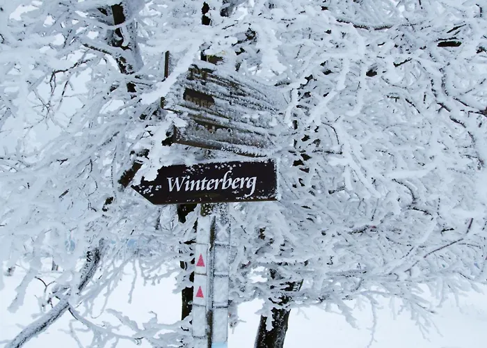 Loipenteufel - Zentral Modern & Am Lift Mit Garage アパート ヴィンターベルク