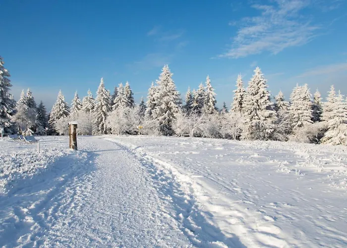 Apartamento Loipenteufel - Zentral Modern & Am Lift Mit Garage *